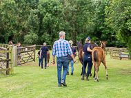 KS300622-99 - Kirtlington Stud Visit